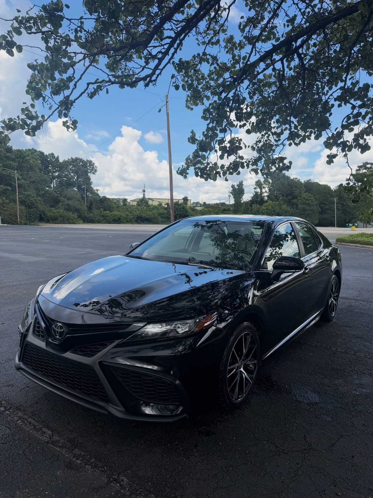 Monthly maintenance detail